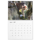 Calendrier Chat du Bengale (Mar 2027)