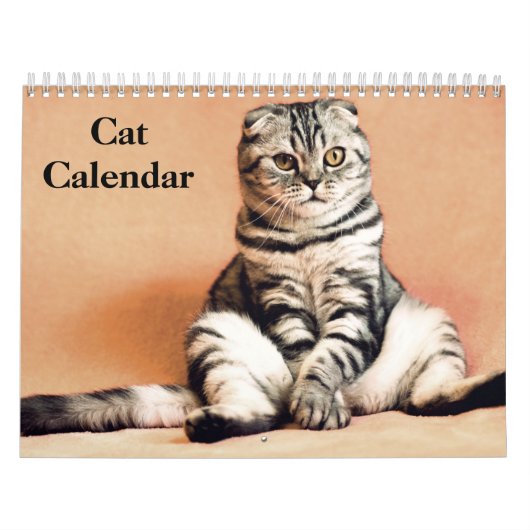 Calendrier Chat du Bengale 2025 (Protection)