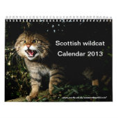 Calendrier - chat sauvage écossais (Protection)