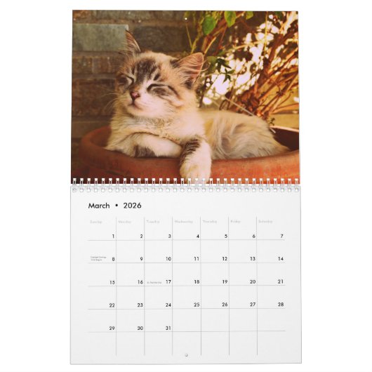 Calendrier chat sphynx Cute (Mar 2026)