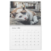 Calendrier chat sphynx Cute (Jan 2026)