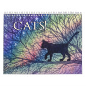 Calendrier CHAT! Un chat par mois (Protection)