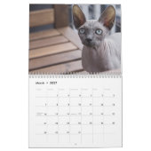 Calendrier Chaton Sphynx 2027 (Mar 2027)