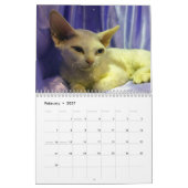 Calendrier Chaton Sphynx 2027 (Feb 2027)