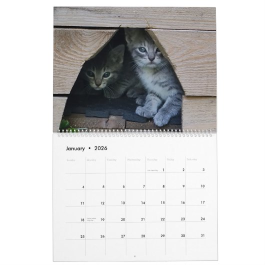 Calendrier Chatons (Jan 2026)