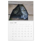 Calendrier Chatons (Jan 2027)