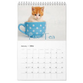 Calendrier Chatons adorables & Chatons Coeur Chants Grande Mu (Jan 2026)