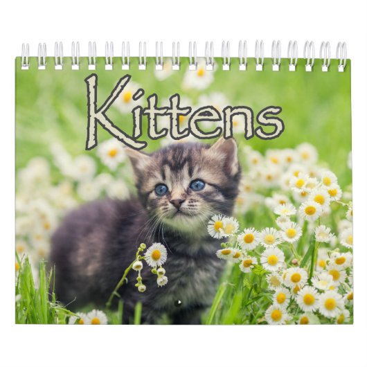 Calendrier Chatons adorables & Chatons de coeur Chat Mur (Protection)