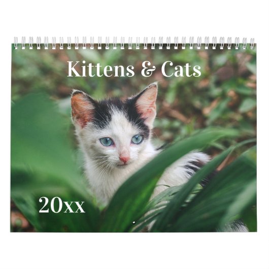 Calendrier Chatons & Chats (Protection)