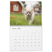Calendrier Chatons & Chats (Jan 2027)