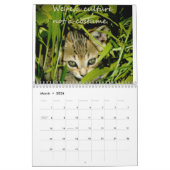 Calendrier Chatons de conscience (Mar 2026)