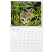 Calendrier Chatons de conscience (Mar 2027)