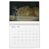 Calendrier Chatons de conscience (Feb 2027)