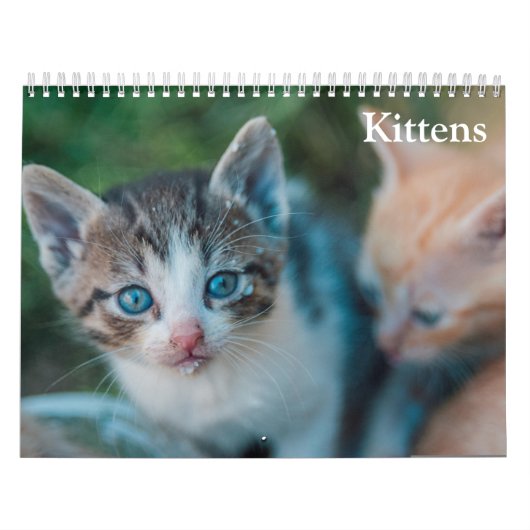 Calendrier Chatons Mignons 2027 (Protection)
