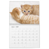 Calendrier Chatons Mignons 2027 (Mar 2027)