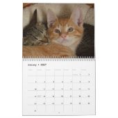 Calendrier Chatons Mignons 2027 (Jan 2027)