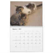 Calendrier Chatons Mignons 2027 (Feb 2027)