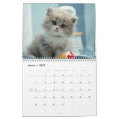 Calendrier Chatons Mignons 2027 (Mar 2027)