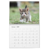 Calendrier Chatons Mignons 2027 (Jan 2027)