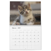 Calendrier Chatons Mignons 2027 (Feb 2027)