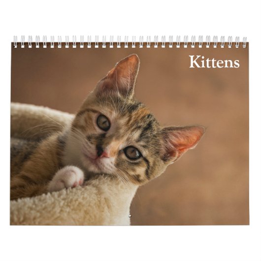 Calendrier Chatons Mignons 2027 (Protection)
