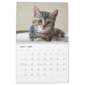 Calendrier Chatons Mignons 2027 (Mar 2027)