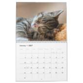 Calendrier Chatons Mignons 2027 (Jan 2027)