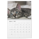 Calendrier Chatons Mignons 2027 (Feb 2027)