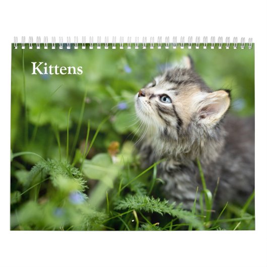 Calendrier Chatons Mignons 2027 (Protection)