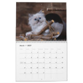 Calendrier Chatons Mignons 2027 (Mar 2027)