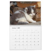 Calendrier Chatons Mignons 2027 (Jan 2027)