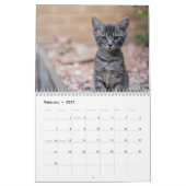 Calendrier Chatons Mignons 2027 (Feb 2027)