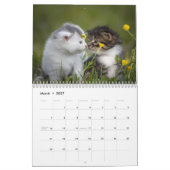 Calendrier Chatons Mignons 2027 Tigre du Bengale (Mar 2027)