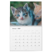 Calendrier Chatons Mignons 2027 Tigre du Bengale (Jan 2027)