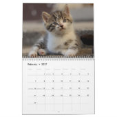 Calendrier Chatons Mignons 2027 Tigre du Bengale (Feb 2027)