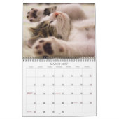 Calendrier Chatons précieux (Mar 2027)