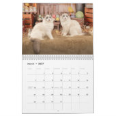 Calendrier Chatons Ragdoll Glamour (Mar 2027)