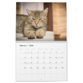 Calendrier Chats 2024 (Feb 2026)