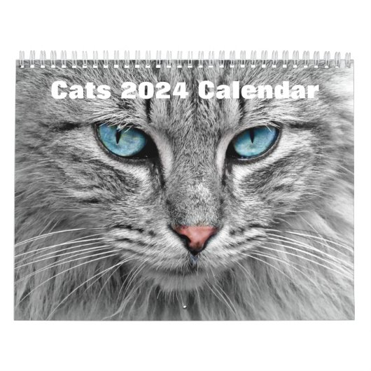 Calendrier Chats 2024 (Protection)