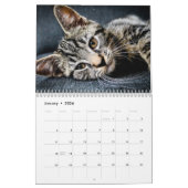 Calendrier Chats 2024 (Jan 2026)