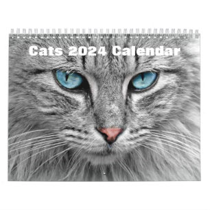Calendrier Chats 2024