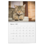 Calendrier Chats 2025 (Feb 2027)