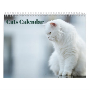 Calendrier Chats 2027