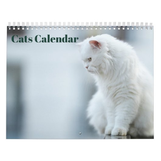 Calendrier Chats 2027 (Protection)