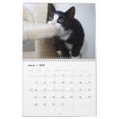 Calendrier Chats 2027 (Mar 2027)