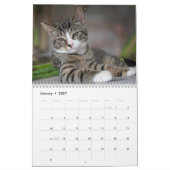 Calendrier Chats 2027 (Jan 2027)