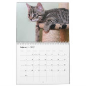 Calendrier Chats 2027 (Feb 2027)