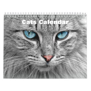 Calendrier Chats 2027
