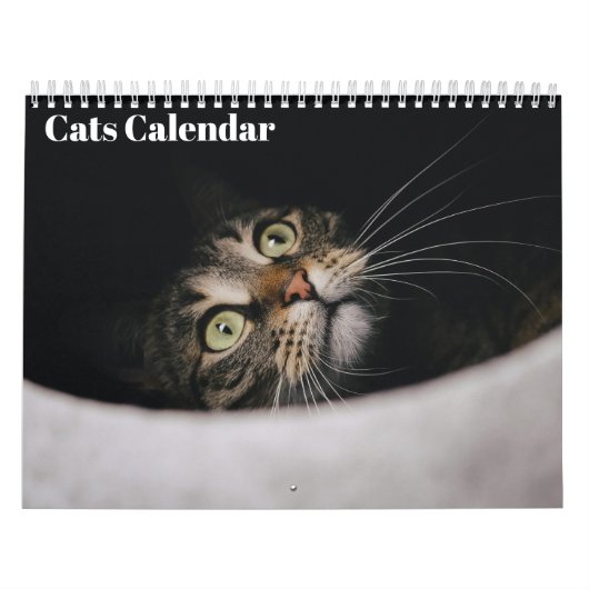 Calendrier Chats 2027 (Protection)
