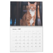 Calendrier Chats 2027 (Jan 2027)